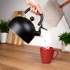 Whistling Kettle Steel Black 2 l
