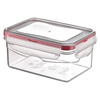 Food Container with Lid and Gasket 700 ml