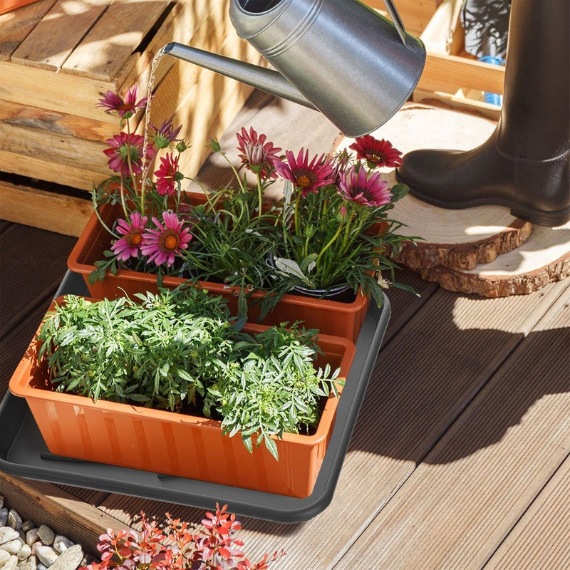 Shoe Tray 38x38 cm