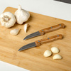 Paring Knife Steel TERRESTRIAL 17 cm 2 pcs